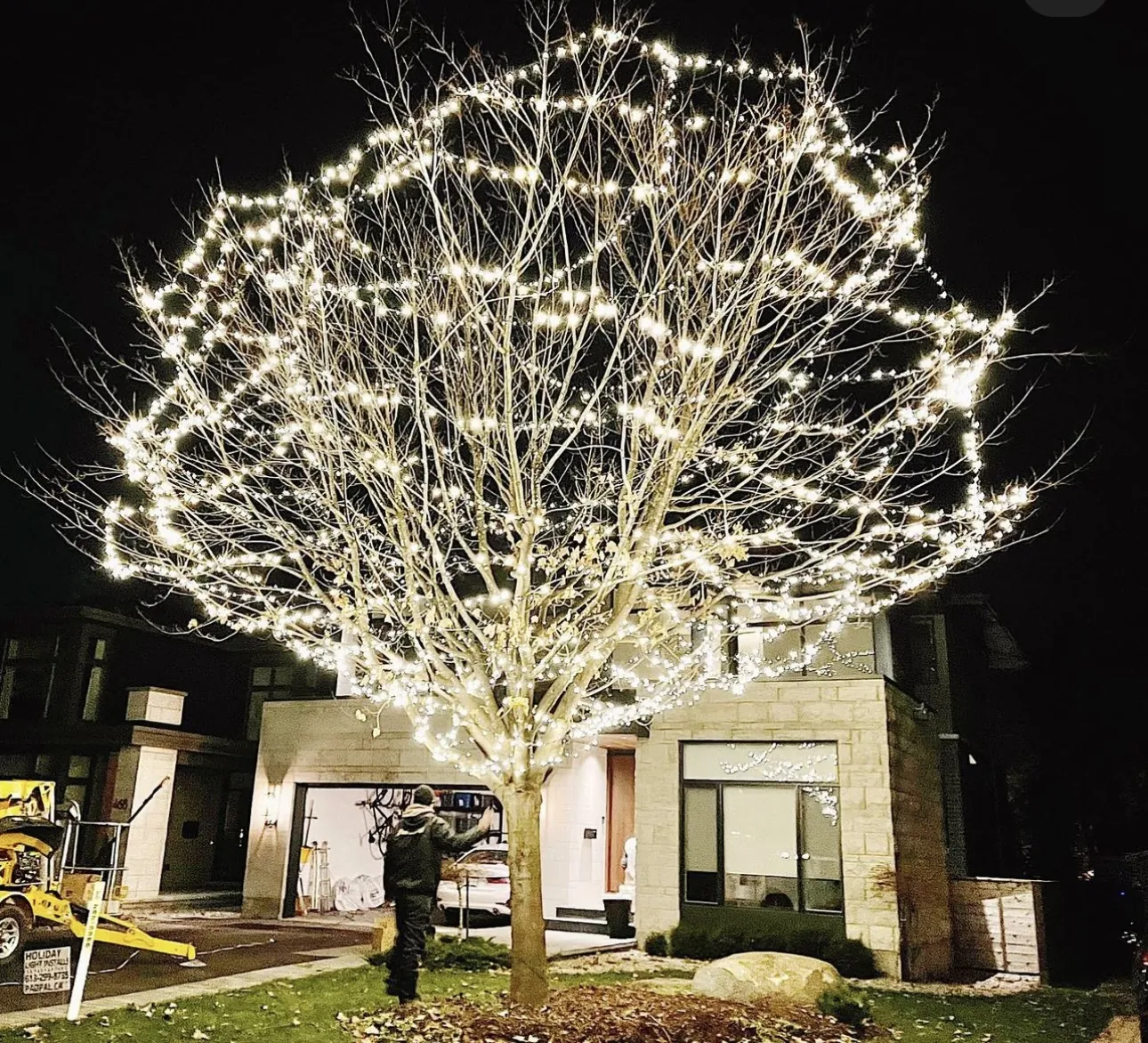 Tall tree covered with warm holiday lights